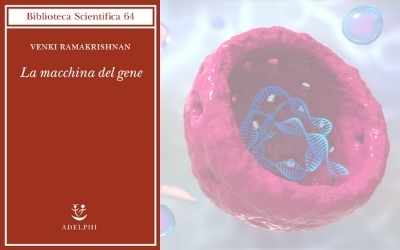 La macchina del gene
