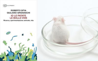 Io le patate le bollo vive
