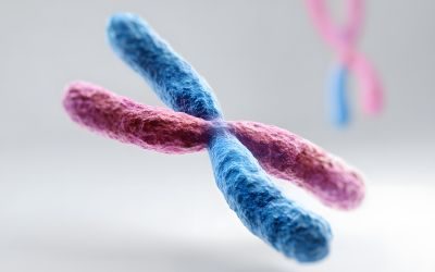 cromosoma, trapianto