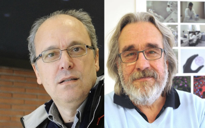 De Luca e Corbellini