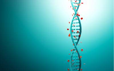 crispr, sangue, editing genomico
