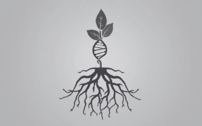 terapie avanzate, malattie rare