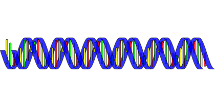 dna-rna