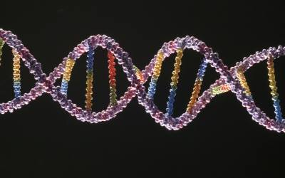 DNA