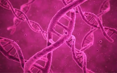 terapia genica, sindrome di rett, ngn-401