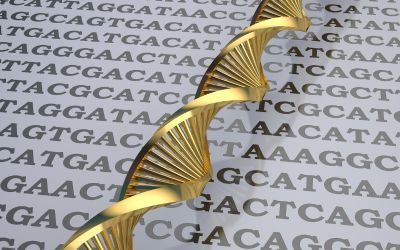 prime editing, cgd, PM359