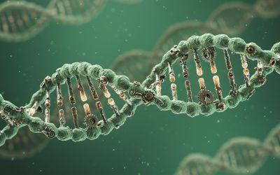 terapia genica, malattia granulomatosa cronica