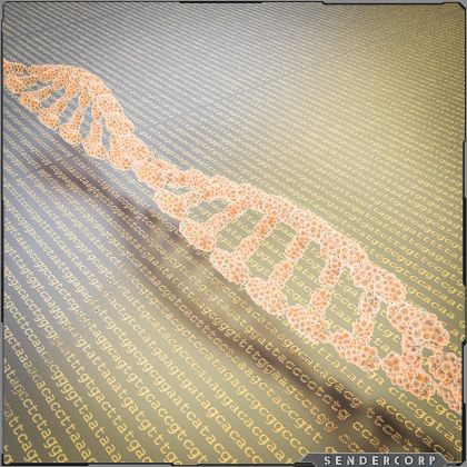 tredicimila il record dei refusi corretti con un colpo di CRISPR