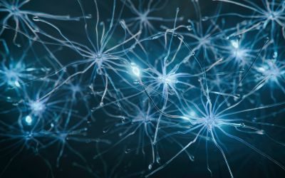 Mivocabtagene autoleucel 