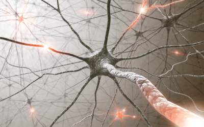 Neurone