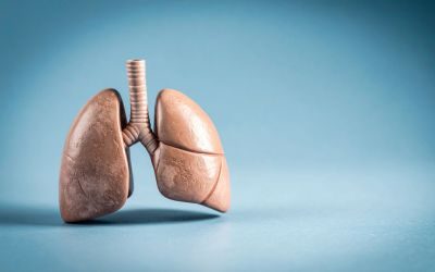 xenotrapianto, polmoni
