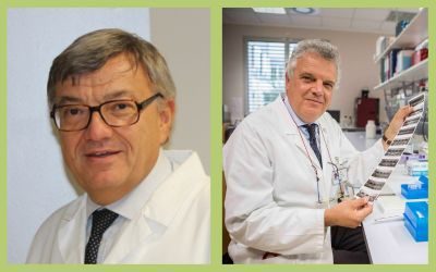 car-cik, leucemia linfoblastica acuta di tipo B