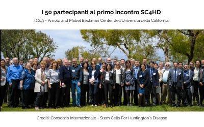 SC4HD
