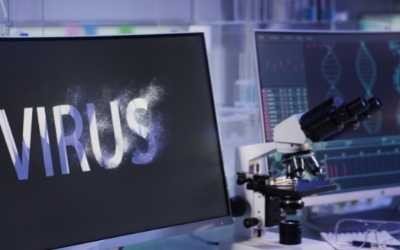 Virus