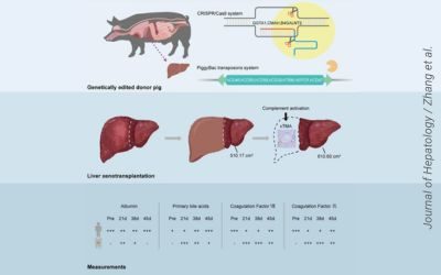 xenotrapianto, sperimentazione clinica